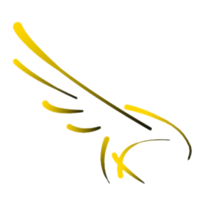 Sponsorship